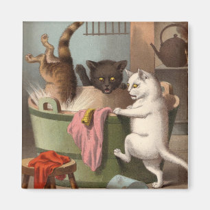 Freche Katzen - Washday Kühlschrankmagnet Magnet