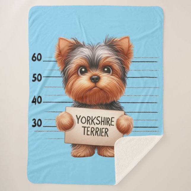 Frecher Yorkshire Terrier Sherpadecke (Vorderseite)