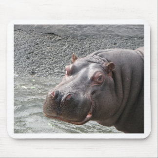 Freches Flusspferd! Mousepad