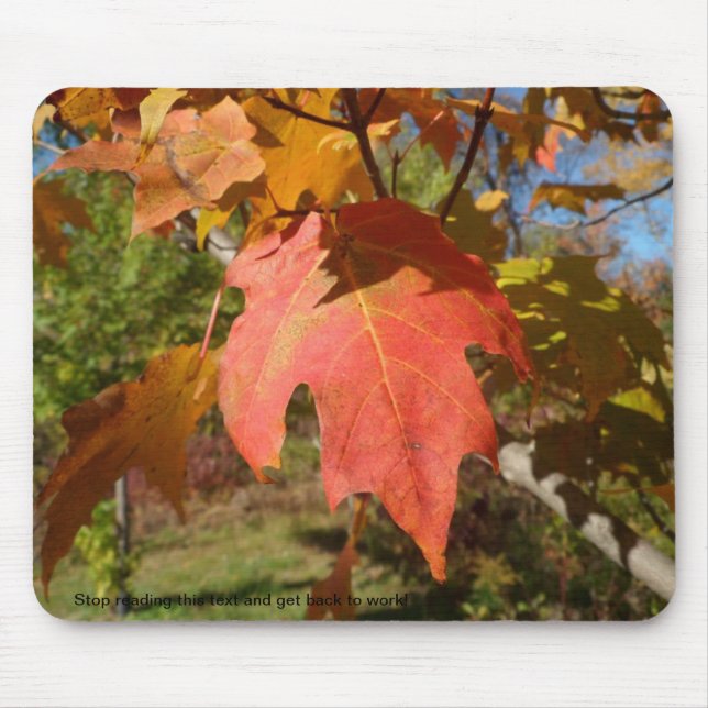 Freches Mousepad der Natur (Vorne)