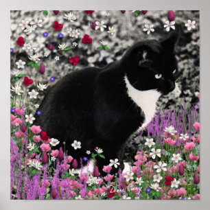Freckles in Blume II - Tuxedo Kitty Cat Poster