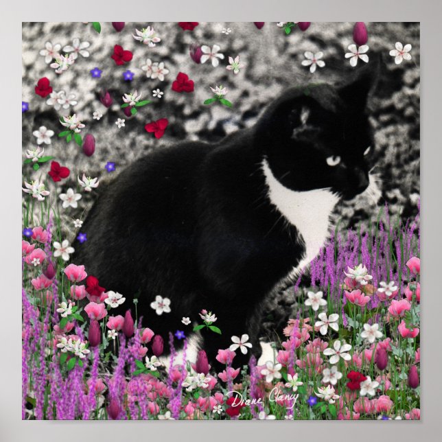 Freckles in Blume II - Tuxedo Kitty Cat Poster (Vorne)