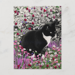 Freckles in Blume II - Tuxedo Kitty Cat Postkarte