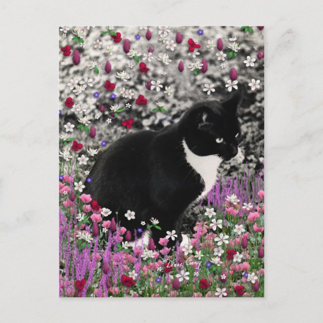 Freckles in Blume II - Tuxedo Kitty Cat Postkarte (Vorderseite)