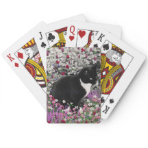 Freckles in Blume II - Tuxedo Kitty Cat