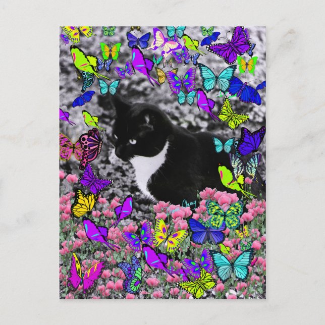 Freckles in Butterfells II - Tux Kitty Cat Postkarte (Vorderseite)