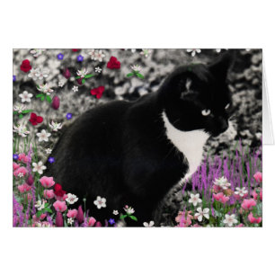 Freckles in den Blumen II - Tuxedo-Katze