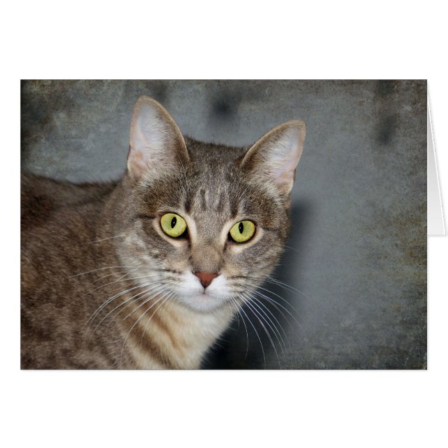 Fred (Vorderseite (Horizontal))