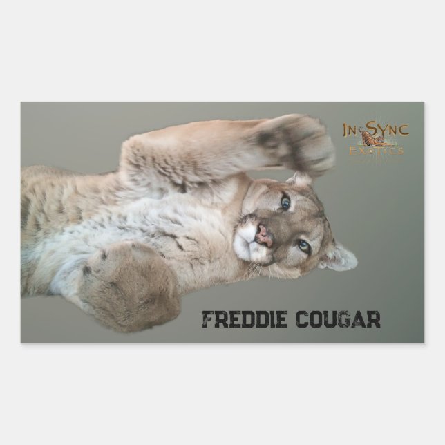 Freddie Cougar Rechteckiger Aufkleber (Vorderseite)