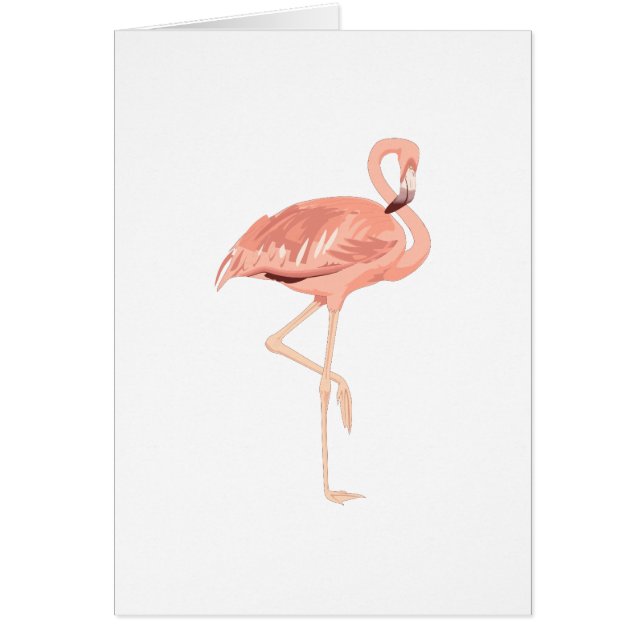 Freddy-Flamingo (Vorne)