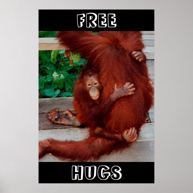 Free Hugs Borneo Orang-Utan Poster (Vorne)