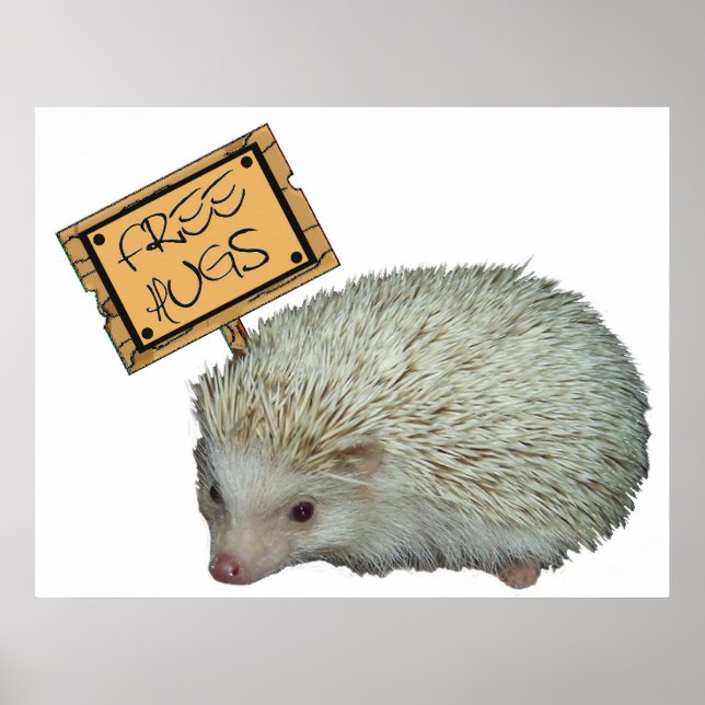 Free Hugs Igel Poster (Vorne)