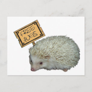 Free Hugs Igel Postkarte