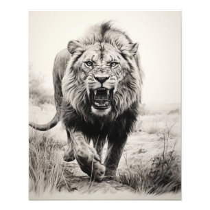 Free Spirit Lion Black and White Fotodruck