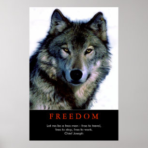 Free Spirit Motivierend Wolf Eyes Poster Print