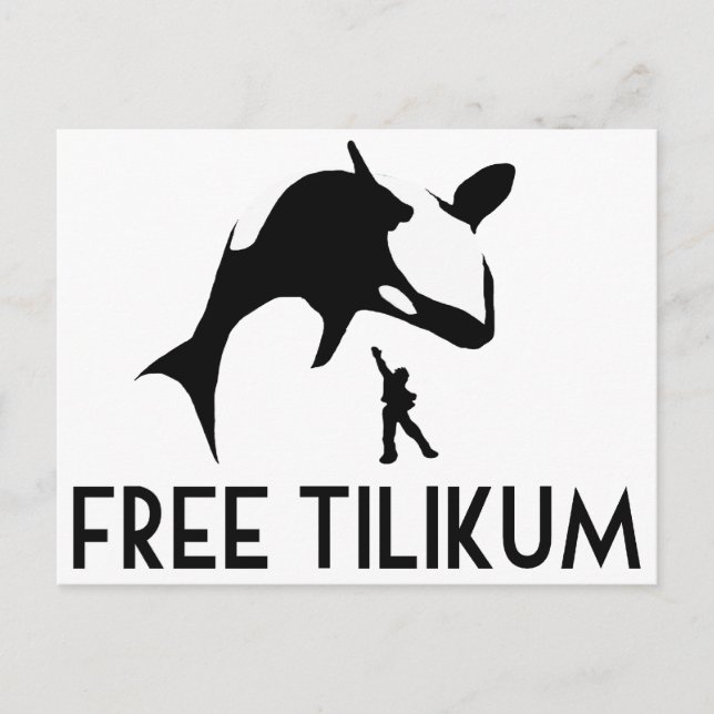 Free Tilikum Rette den Orca Killer Wal Postkarte (Vorderseite)