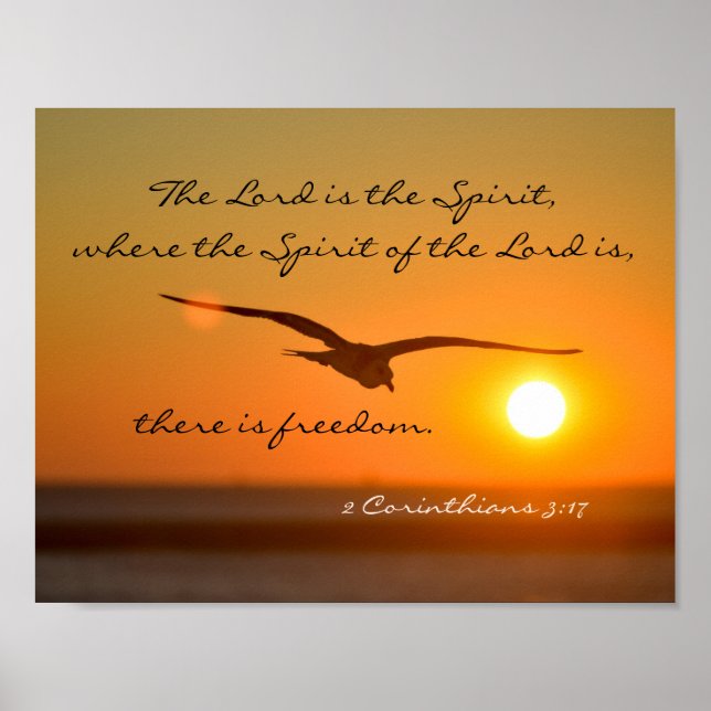 Freedom Bible Verse, Vogel fliegen bei Sonnenunter Poster (Vorne)