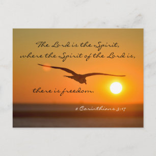 Freedom Bible Verse, Vogel fliegen bei Sonnenunter Postkarte