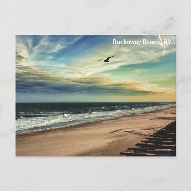 Freedom Bird Postcard Postkarte (Vorderseite)