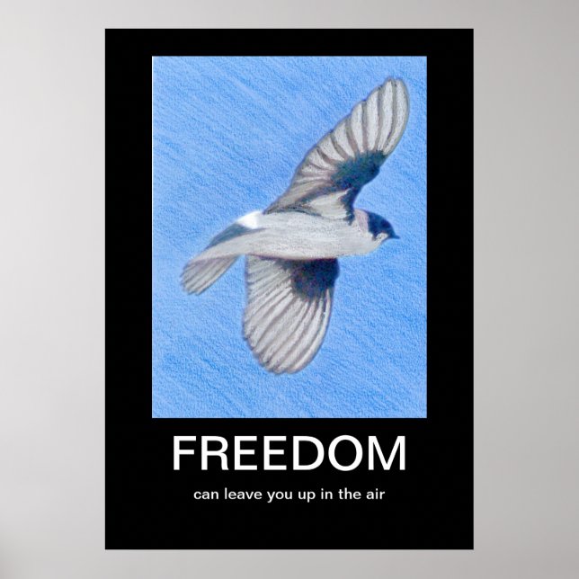 FREEDOM Demotivations-Poster Poster (Vorne)