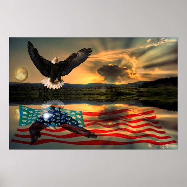 Freedom-Eagle-W-Flag-W-Star-burst-2010 Poster (Vorne)