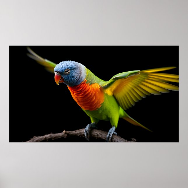 🌈 Freedom Flight Lorikeet - Dynamic Rainbow Poster (Vorne)