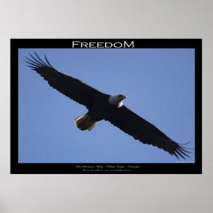 FREEDOM ~ Motivational Poster
