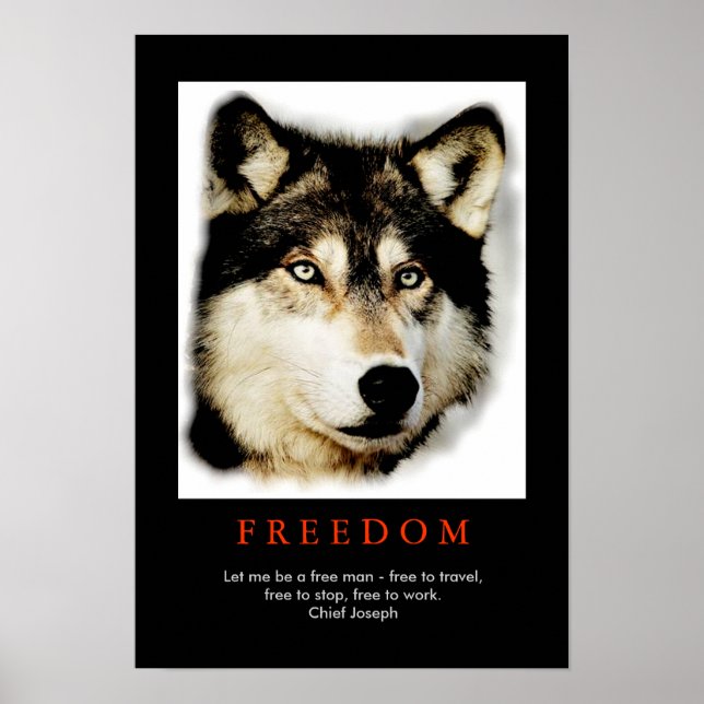 Freedom Spirit Motivierend Wolf Eyes Poster (Vorne)