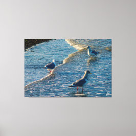 Freeland Mutiny Bay #1 Leinwanddruck