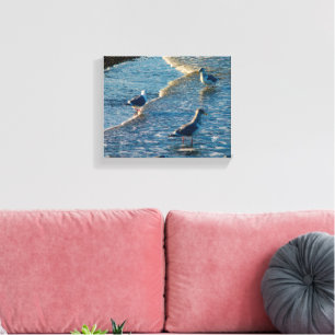 Freeland Mutiny Bay Vögel Wellen Fotografie Leinwanddruck