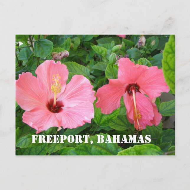 Freeport, Bahamas Postcard Postkarte (Vorderseite)