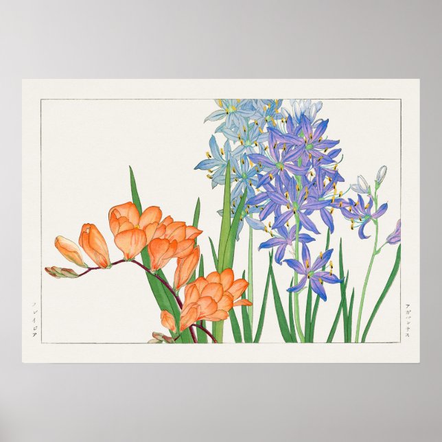 Freesia Blume von Tanigami Kônan (1917) Poster (Vorne)