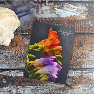 Freesie auf dunklem Hintergrund. Mit Sympathie Postkarte