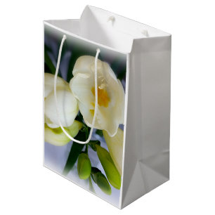 Freesie, weiß, gelb, Wirkung, Bürste, trocken, Blü Mittlere Geschenktüte
