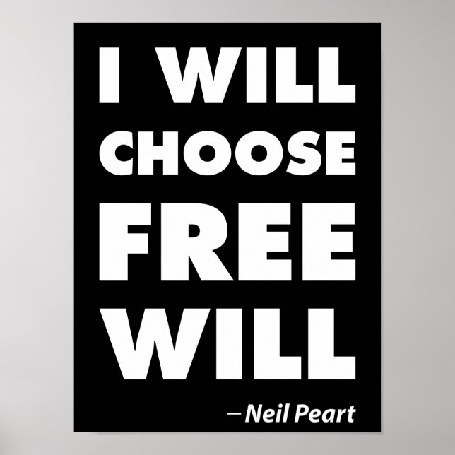 Freewill Poster (Vorne)