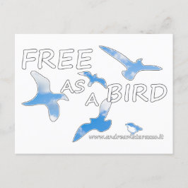 Frei als Vogel Postkarte