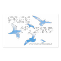 Frei als Vogel