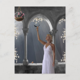 Frei als Vogel sein (Postkarte) Postkarte