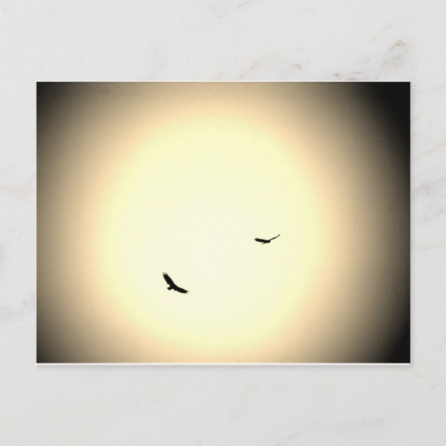 frei in den Himmel schießende Vögel Postkarte (Vorderseite)