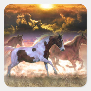 frei laufen quadratischer aufkleber