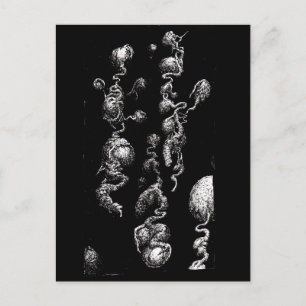 Frei schwimmende Bio Aberrationen Postkarte