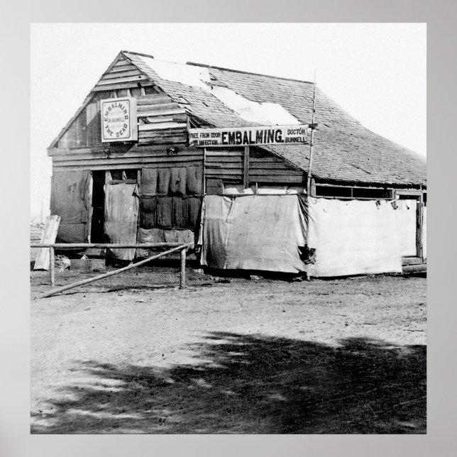 frei von Geruch oder Infektion: 1865 Poster (Vorne)