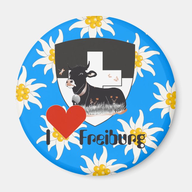 Freiburg Fribourg Schweiz Suisse Magnete (Vorne)