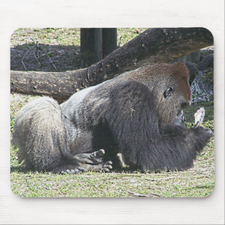 Freie Poker-Lektionen Mousepad