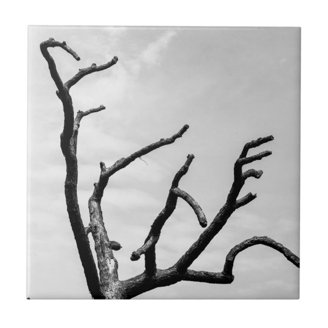 freier Baum Fliese (Vorderseite)