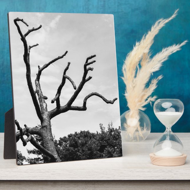 freier Baum Fotoplatte (Seite)