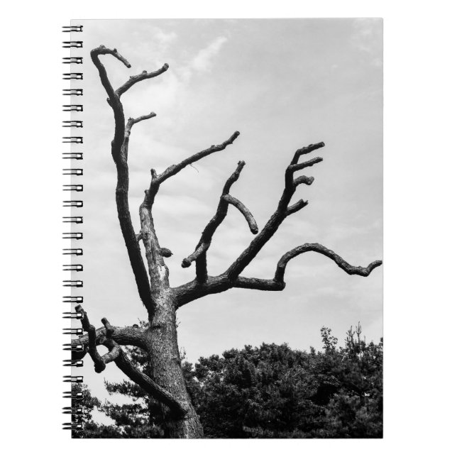 freier Baum Notizblock (Vorderseite)