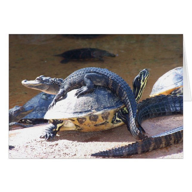 Freier Flug (Vorderseite (Horizontal))