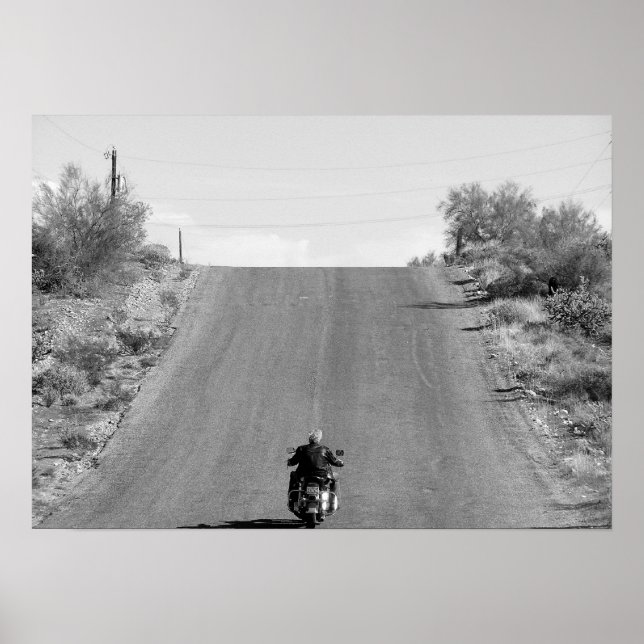 Freier Flug Poster (Vorne)