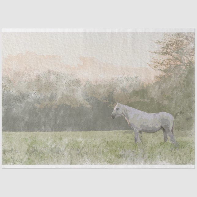 Freies, 18-lb-Papier zur Entcouponierung von Geweb Seidenpapier (Vorderseite)